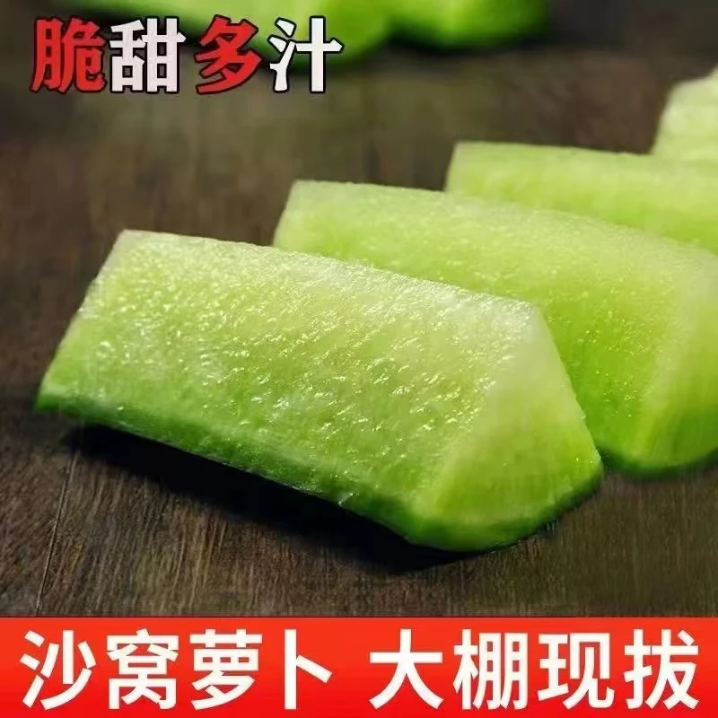 天津正宗沙窝萝卜毛5斤一箱