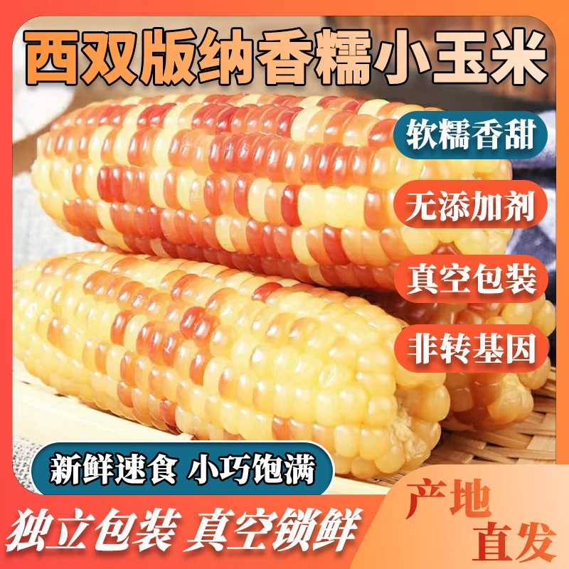 西双版纳小玉米花糯玉米甜玉米 新鲜采摘软糯香甜