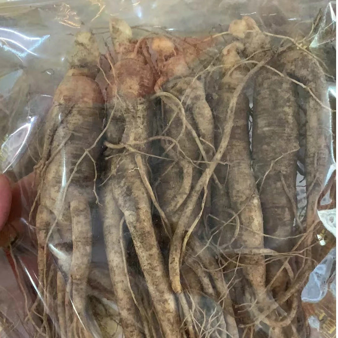 （彬哥推荐）鲜人参条