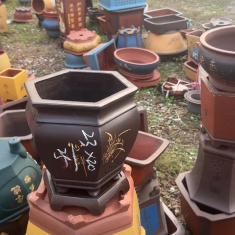 红陶20CM(含)-50CM(不含)