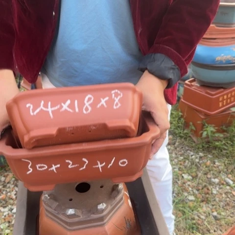 红陶20CM（含）-50CM（不含）