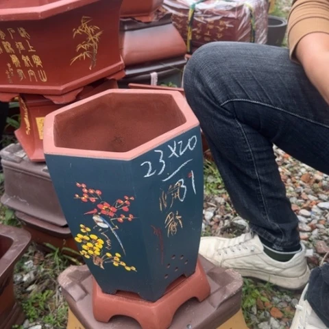 红陶20CM（含）-50CM（不含）