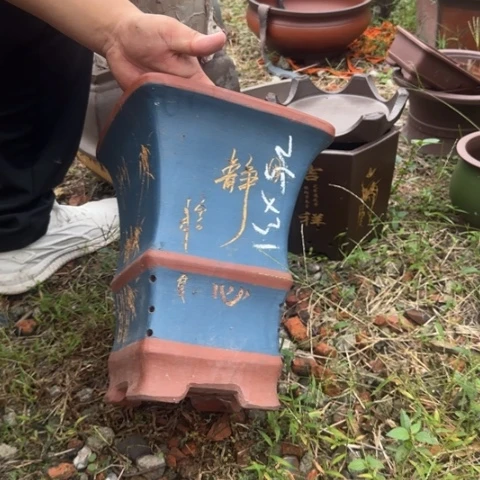 红陶20CM（含）-50CM（不含）