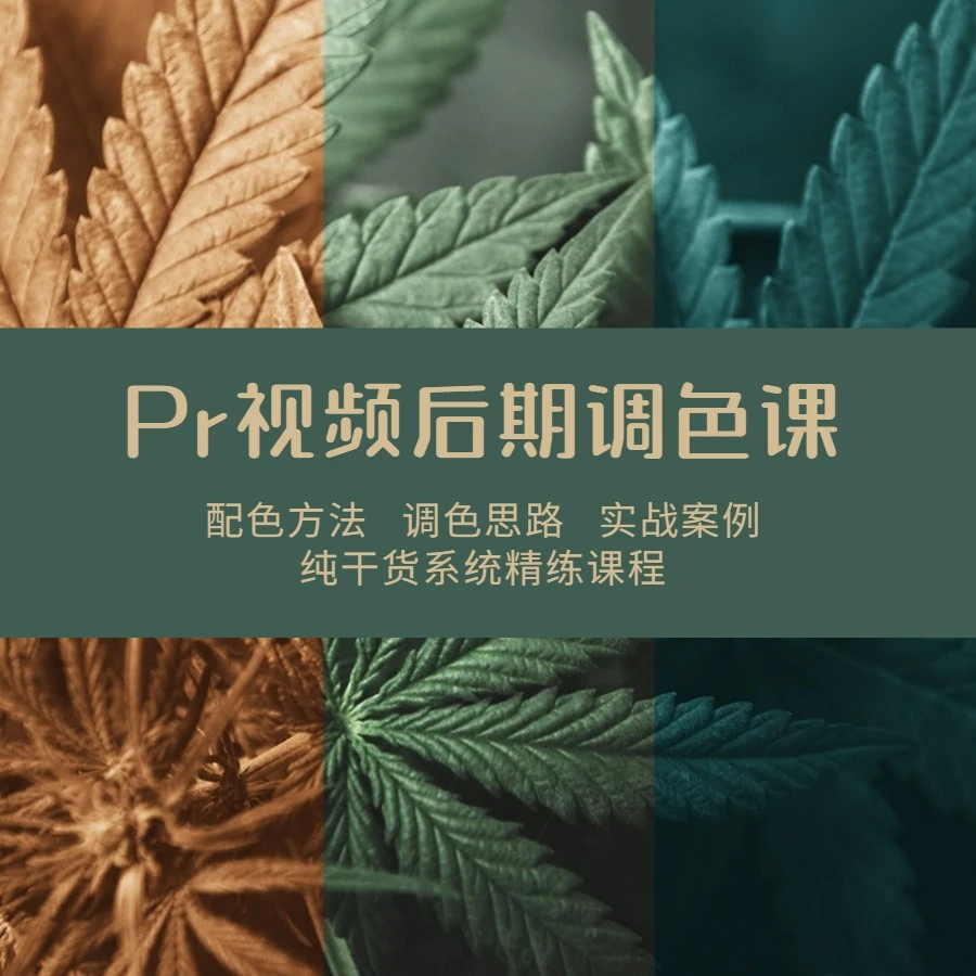 Pr视频后期调色课程影视后期专业调色课程Pr调色课程教程