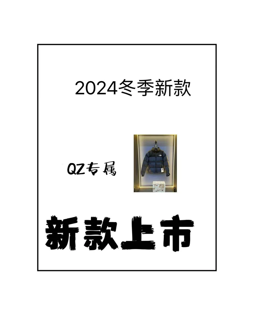 【强】1996新款立领700刺绣休闲百搭户外情侣
