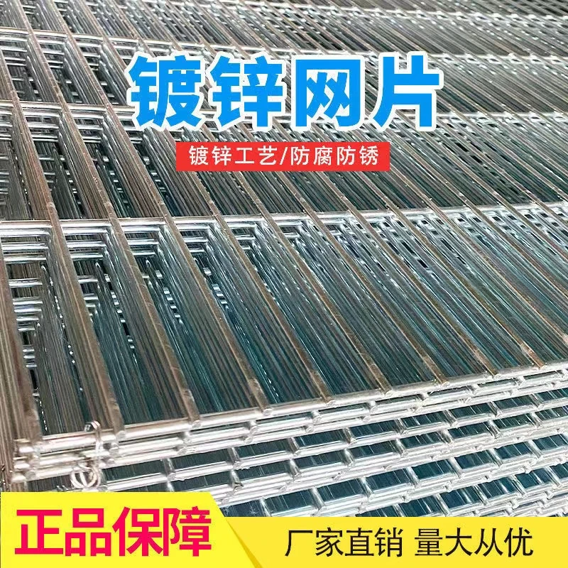 大尺寸2*10孔鸽舍地网 狗笼底网 镀锌网片镀锌防腐耐久结实耐冲撞