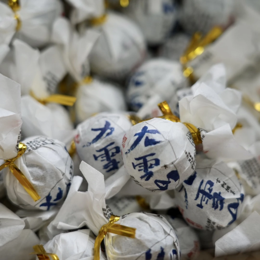 2023年大雪山古树春茶龙珠