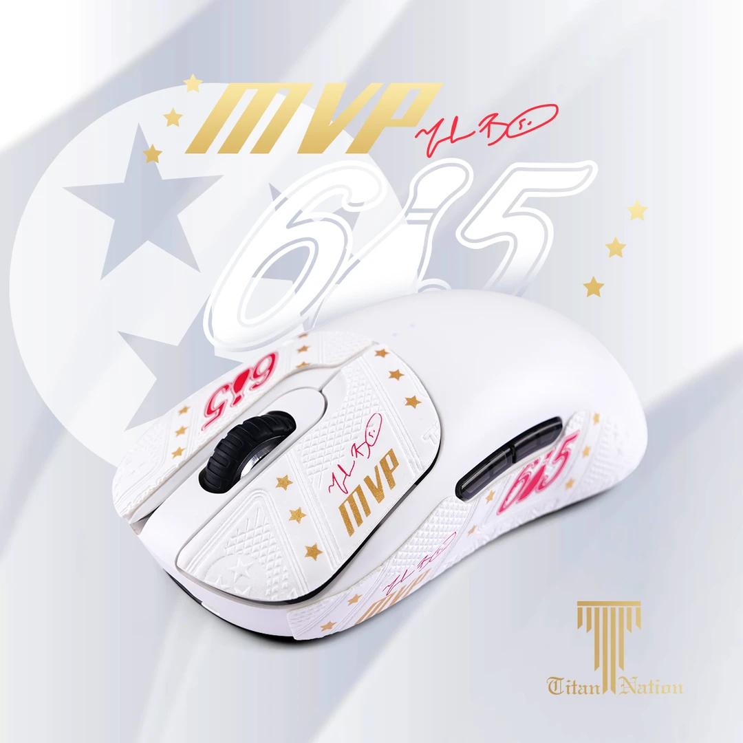 泰坦国度适用于VAXEE蜥蜴皮NP-01S WIRELESS鼠标防滑贴XE/XE-W贴