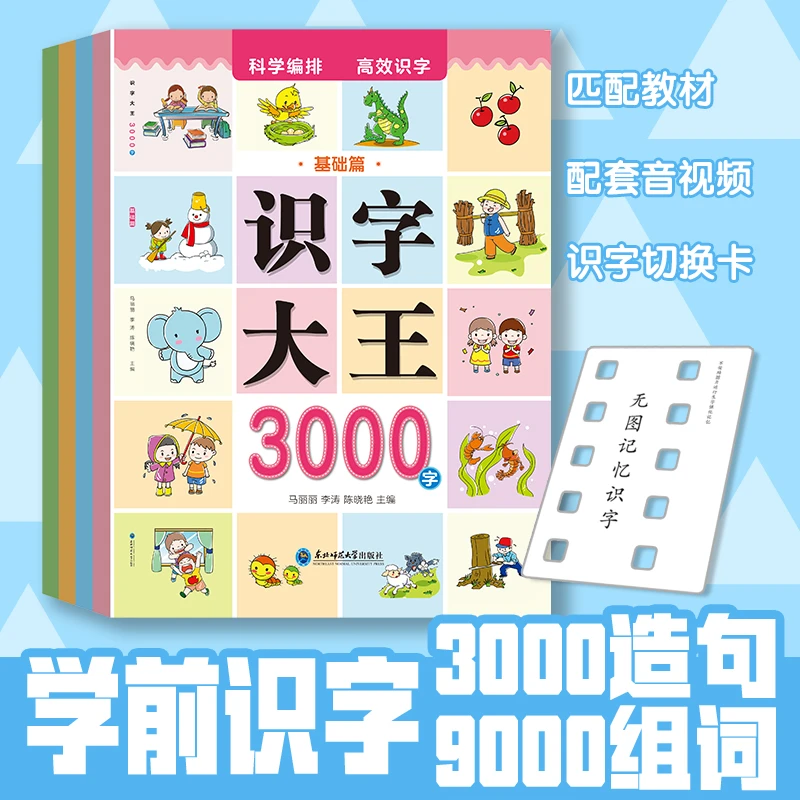 全4册识字大王3000字幼小衔接科学编排高效识字幼儿早教匹配教材