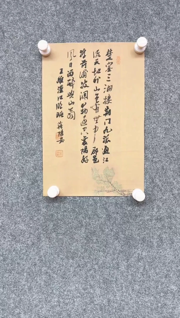 【闪购商品】书法蒋阳安 中书协 第五届草书展33*22
