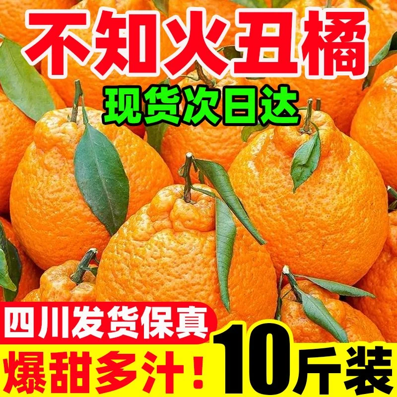 【正宗】四川丑橘不知火丑八怪10斤新鲜丑桔子耙耙橘子包邮