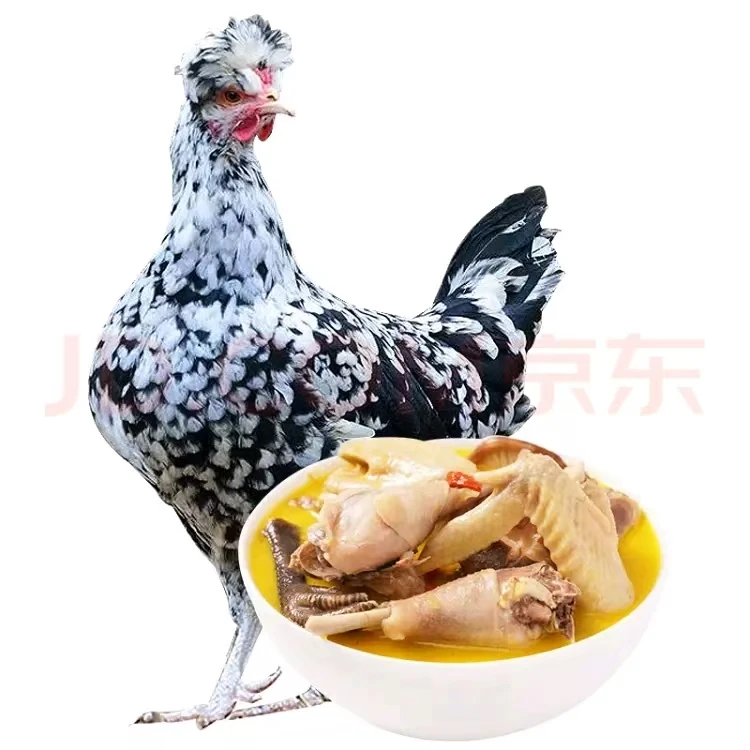 山下农家散养贵妃鸡溜达鸡月子鸡肉可现杀冷藏发货包邮