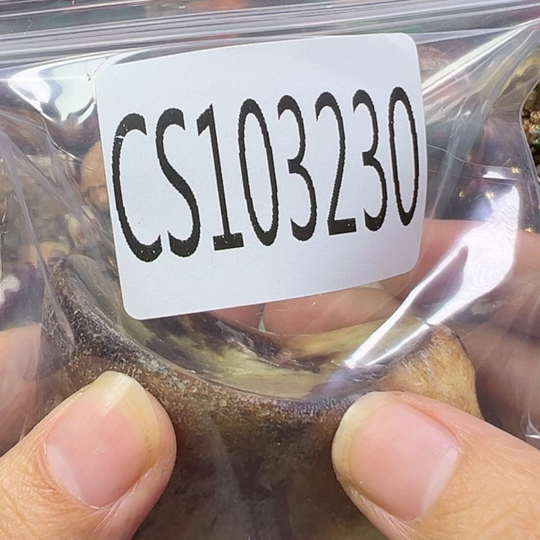 【闪购商品】书法其他