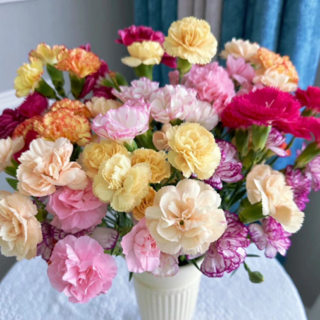 【香羿鲜花】多头康乃馨一扎/同城免费配送