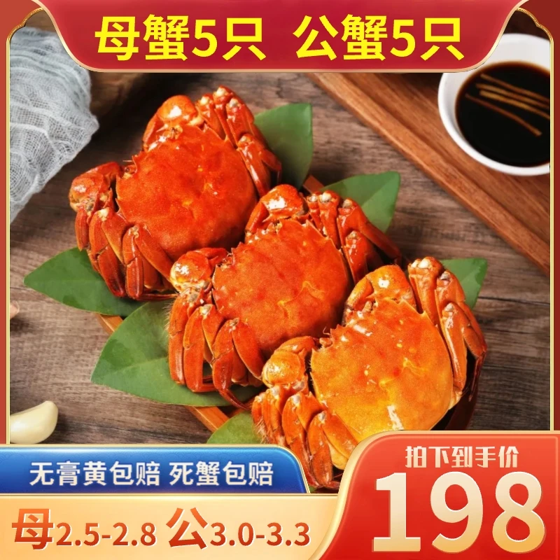 【活蟹】螃蟹10只装母蟹5只（2.5-2.8两/只）公蟹5只（3.0-3.3两/只）