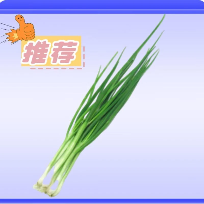 【爆品推荐】小葱50g
