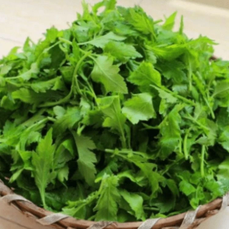 菊花叶 约250g