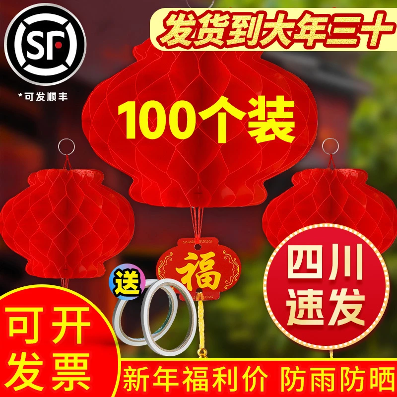 灯笼2024新款小红灯笼2025年蛇年春节农村树上纸灯笼串挂饰过新年