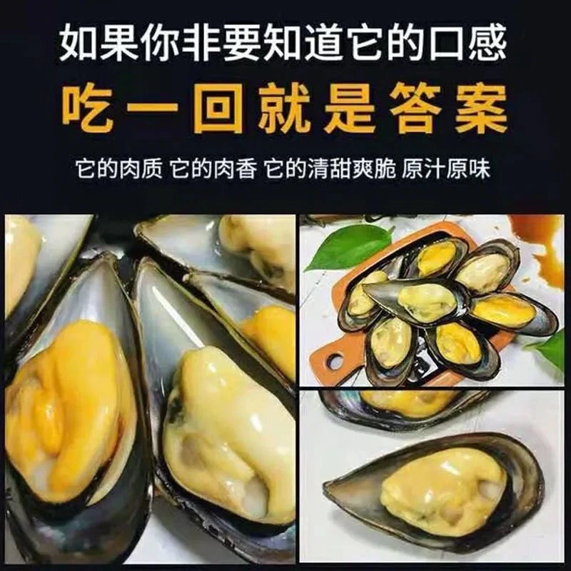 连云港发货 青口贝 鲜活发货包鲜不包活 淡菜 非小海虹 顺4斤 7斤