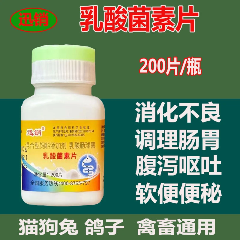 迅销乳酸片宠物猫狗兔禽畜通用