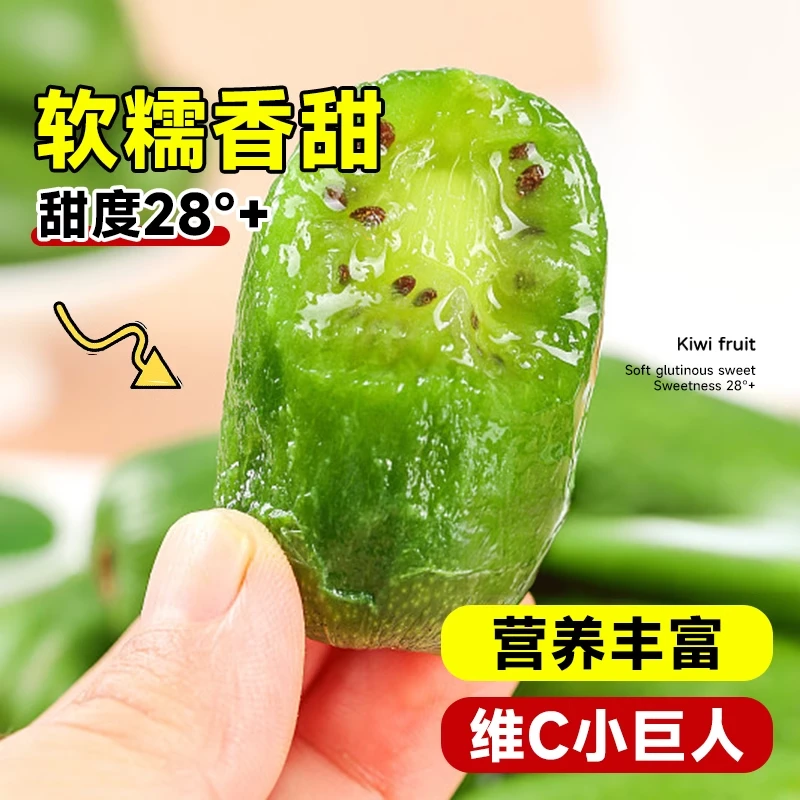 软枣猕猴桃树果苗红心弥猴桃苗盆栽庭院地栽水果树苗果树四季种植