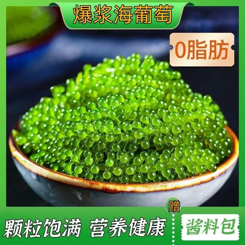 海葡萄每包带盐水重量100克到手5包脆爽营养绿色健康食品美味