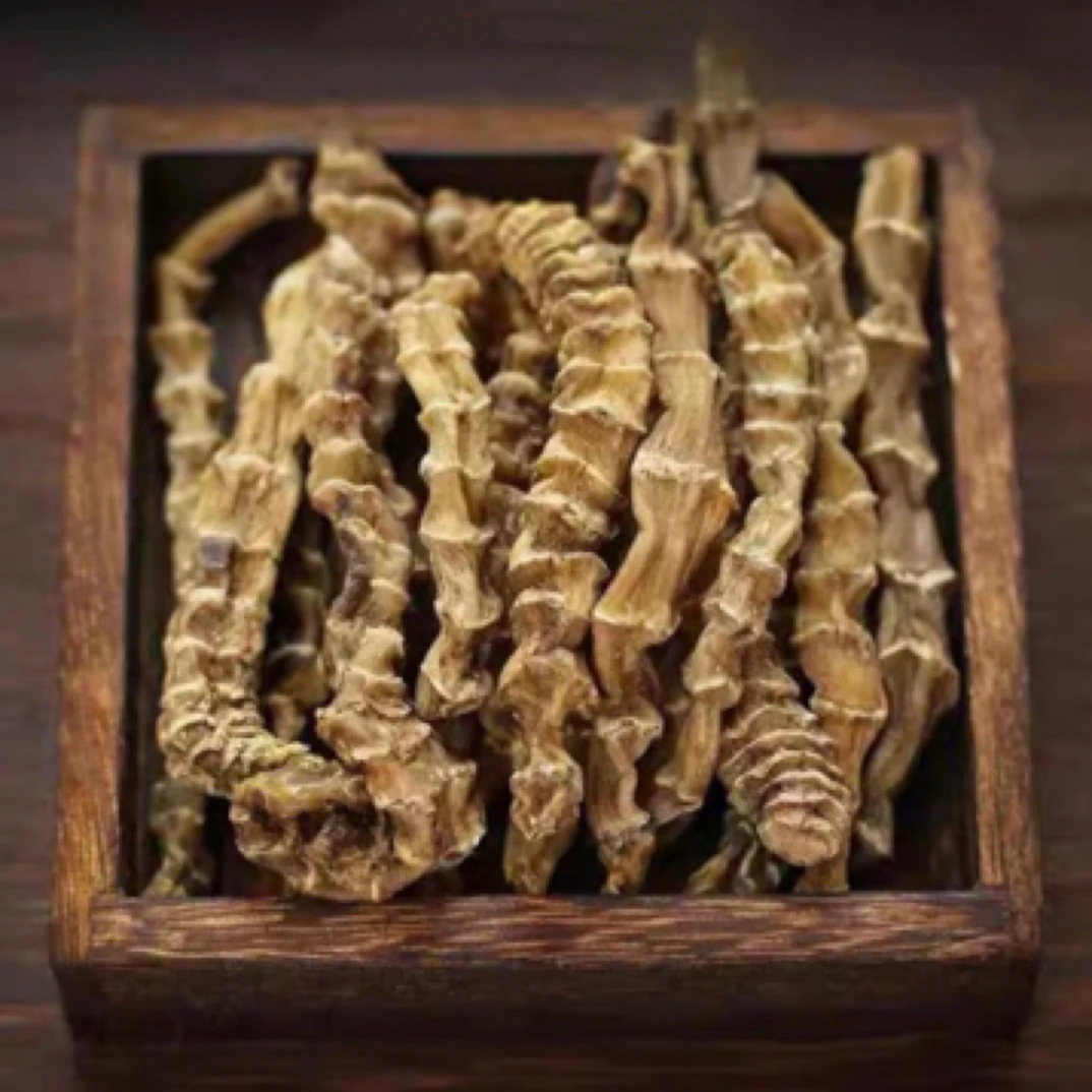 云南竹节参  现收山货土特产