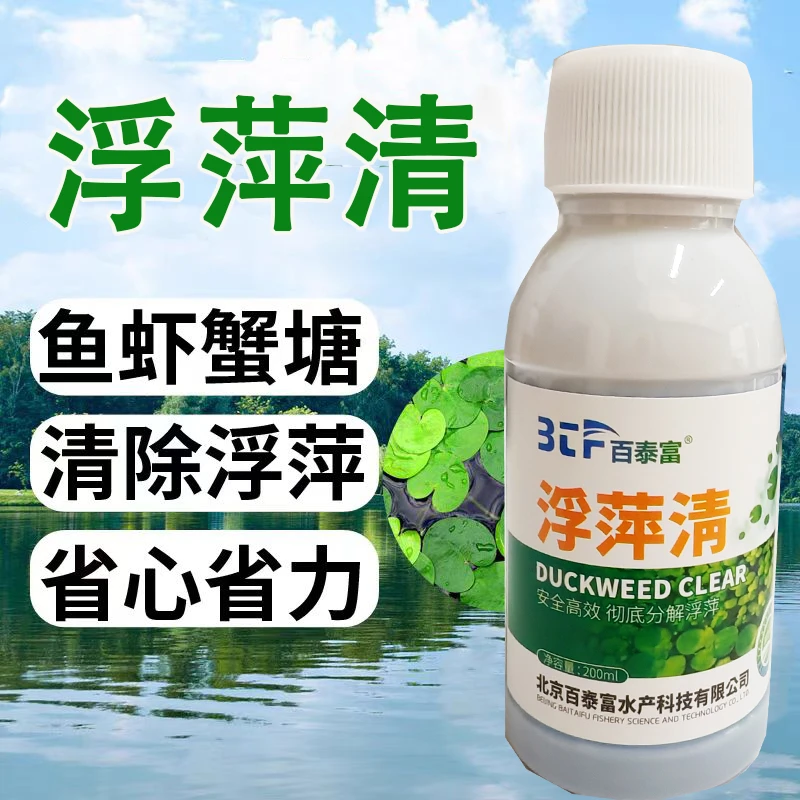 犇田姐推荐浮萍清除浮萍不伤水草适用虾蟹鱼塘