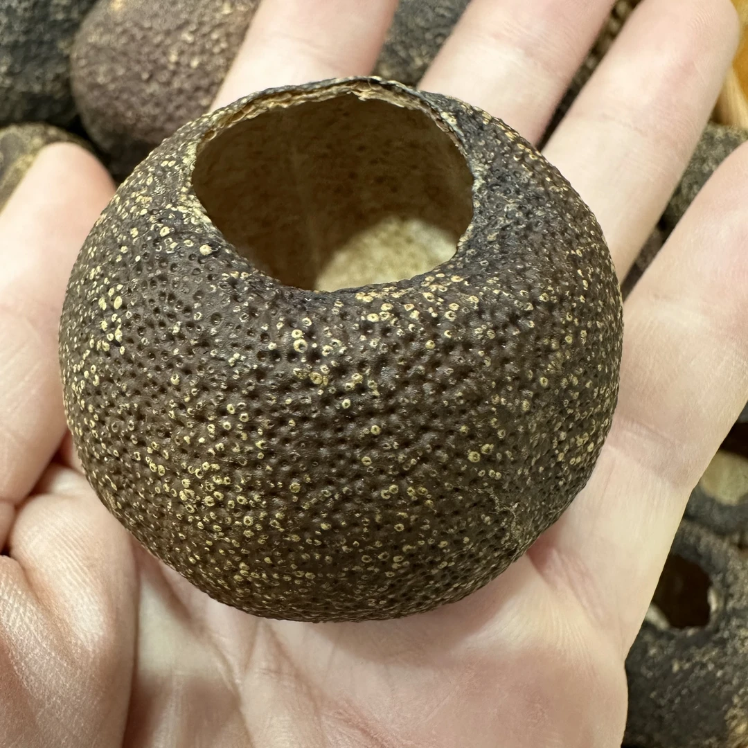 【好货捡漏】新会陈皮2015年天马生晒青柑壳