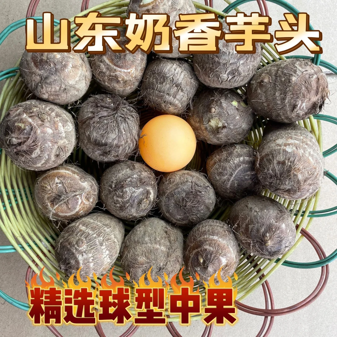 精选中果牛奶芋头山东特产原产地奶香小芋头新鲜毛芋头奶芋