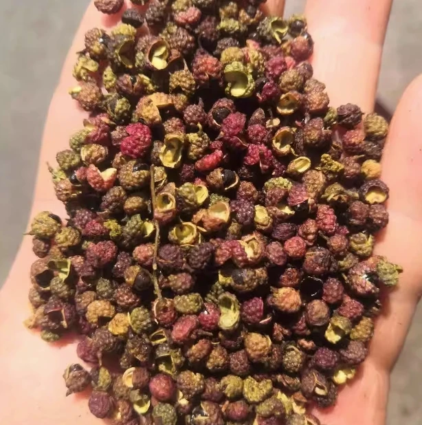 云南转红花椒麻椒 香料大全