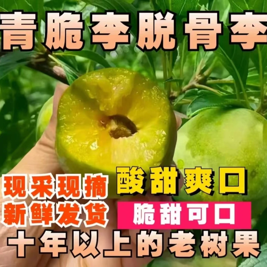 【村长推荐】四川高山原生态脆红李子半边红脱骨李酸甜爽口多汁新鲜