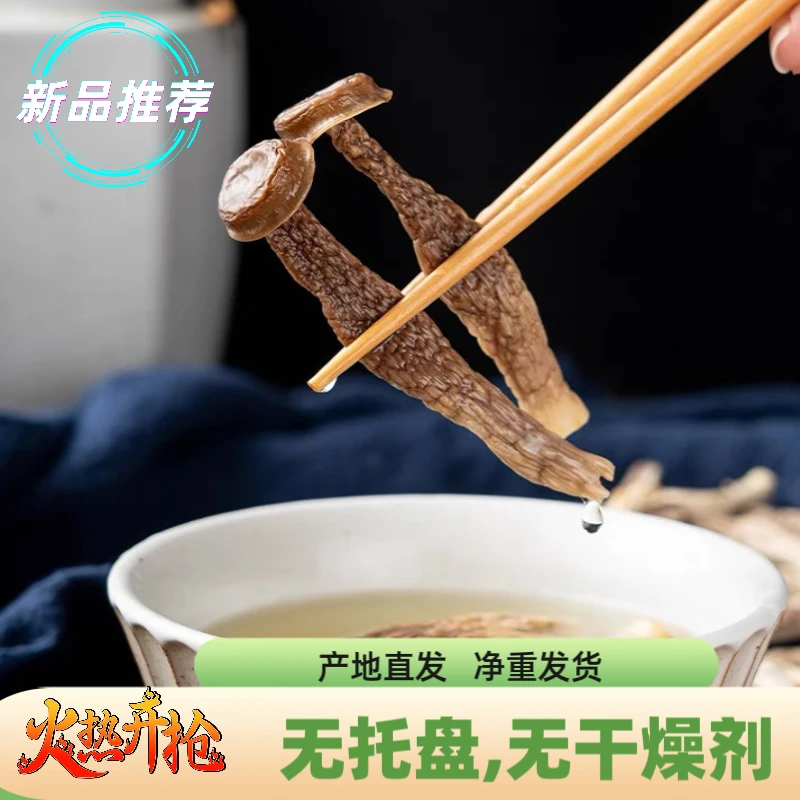 福建古田鹿蓉菇新鲜凉拌食用菌煲汤炖汤食材特产鹿茸菌菇干货