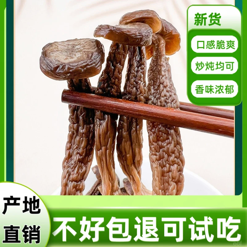 菌干货新鲜鹿茸香菇煲汤菇。煲汤材料脆爽脆浓郁干货蘑菇菇脆菌