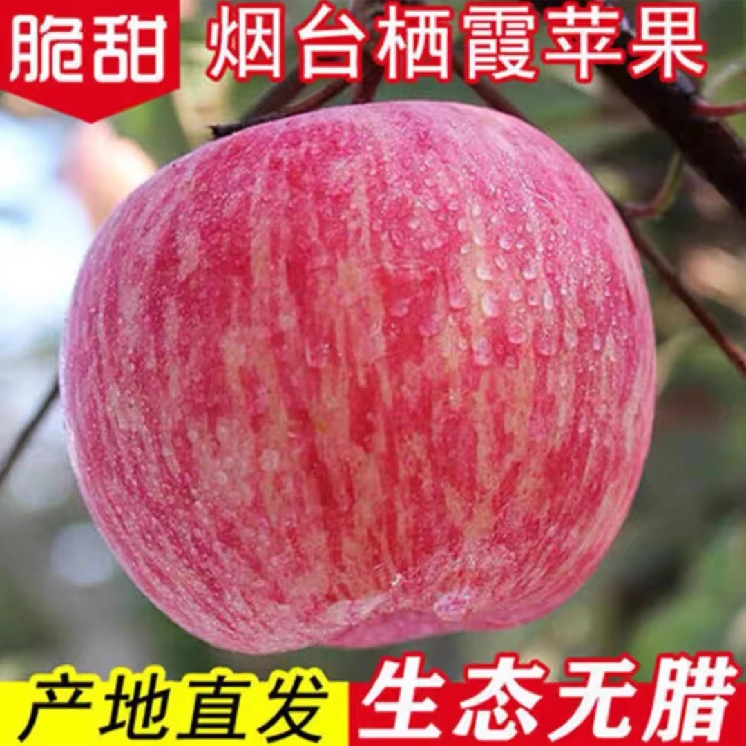 LZ包邮【烟台栖霞红富士苹果】新鲜水果酥脆香甜多汁带箱9.5-10斤