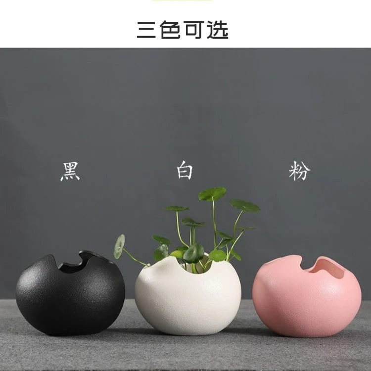 蛋壳客厅陶瓷水培花瓶盆桌面花器小清新摆件室内绿萝铜钱草容器
