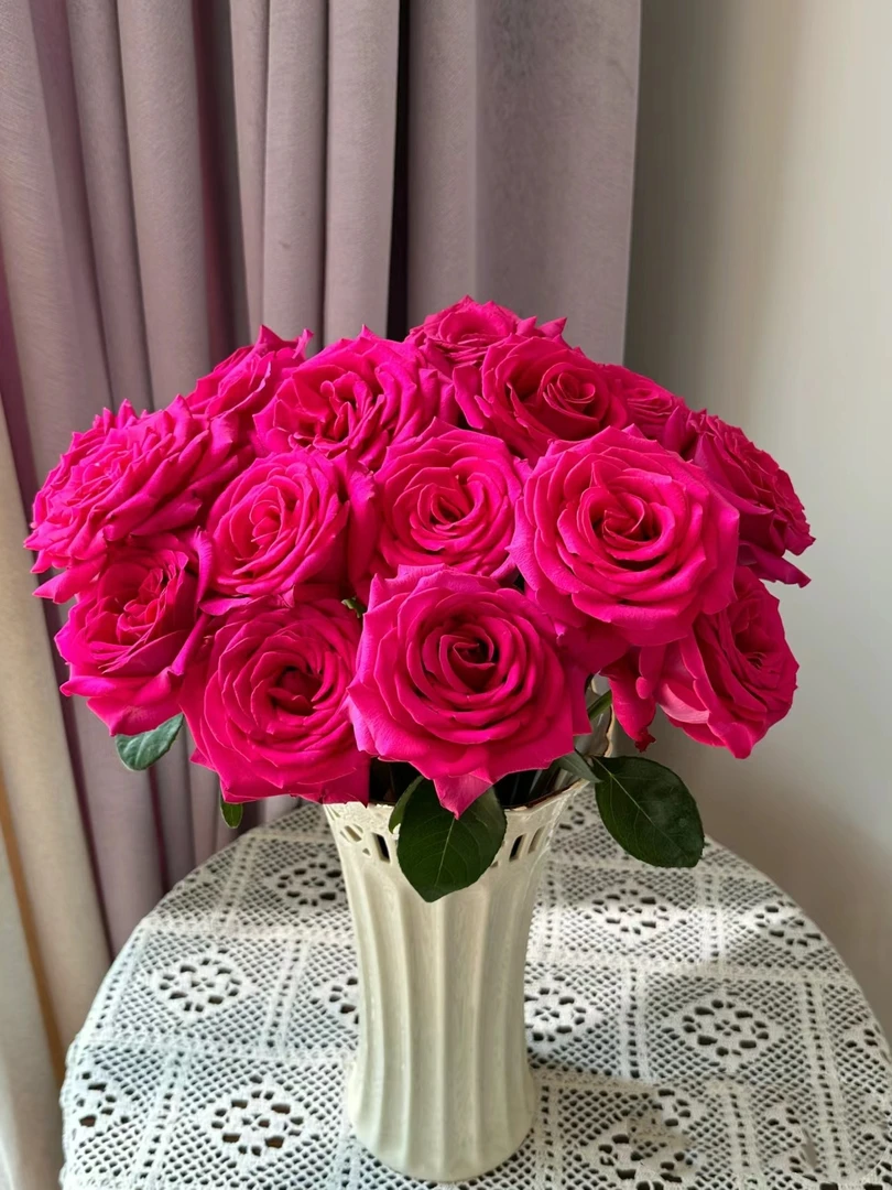 弗洛伊德玫瑰 玫瑰/月季 花苞需醒花 开放快 发出无法拒收