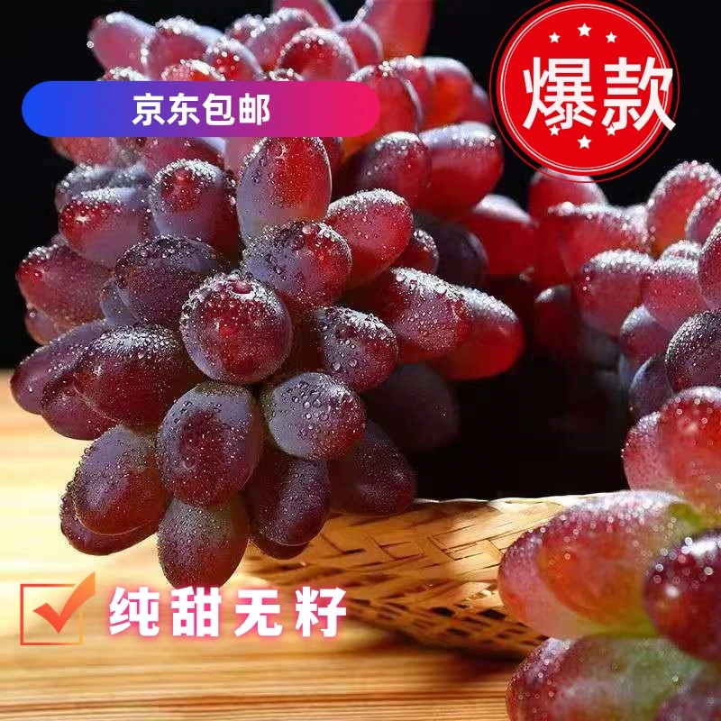【京东包邮】茉莉香葡萄纯甜无籽新鲜采摘植郁金香葡萄自带花香饱满