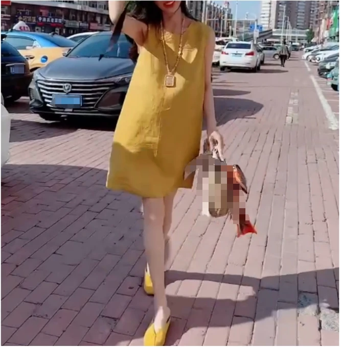 时尚潮流百搭精品女装zsx31813