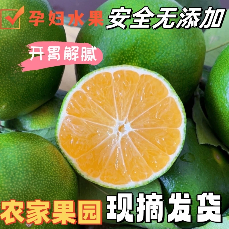 当季优质孕妇水果酸甜宜昌直供无籽蜜橘青皮桔子柑子皮薄多汁