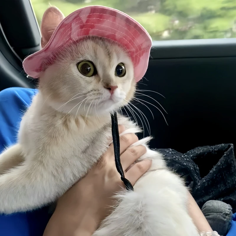 可爱露耳朵猫咪狗狗帽子夏季宠物防晒帽露耳夏天渔夫帽拍照遮阳帽
