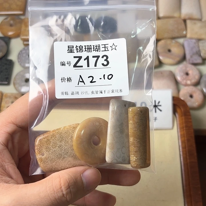硅化玉颈饰未镶嵌A****)