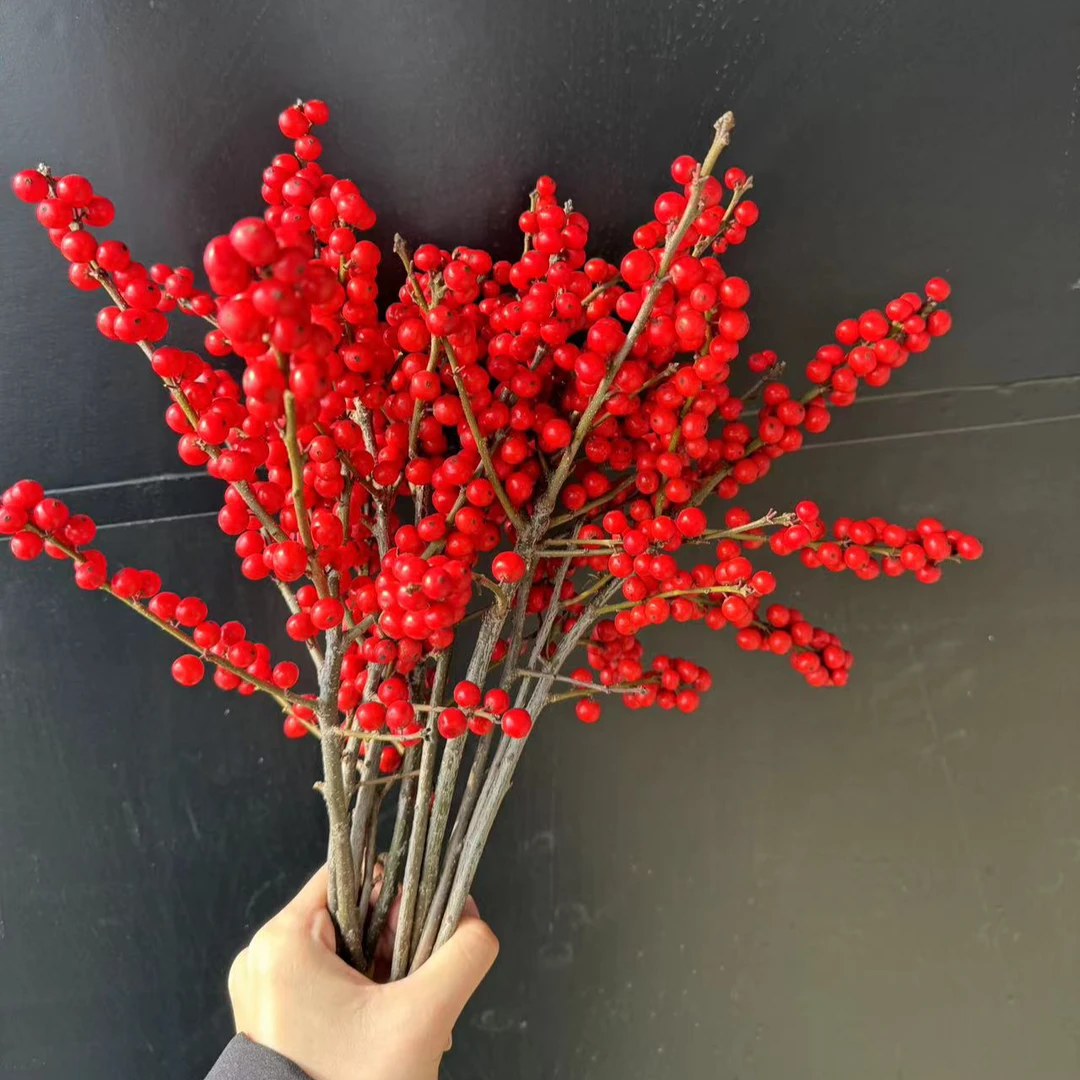 【福利拉人气拍5送5】2A北美冬青年宵花室内水培鲜切插花乔迁婚庆