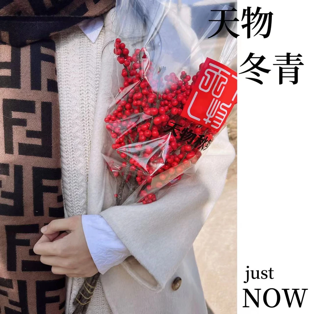 【5A北美冬青50cm左右】年宵鲜花室内水培鲜切插花乔迁婚庆基地直发