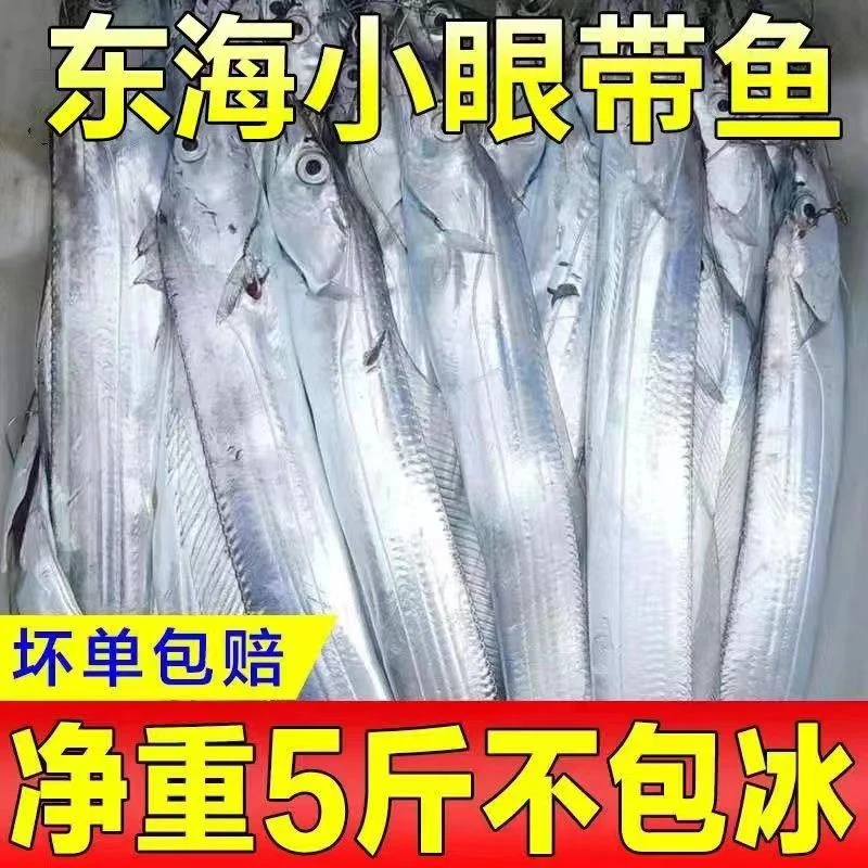 新鲜冷冻白带鱼【5斤装】整条带鱼新鲜速冻顺丰发货