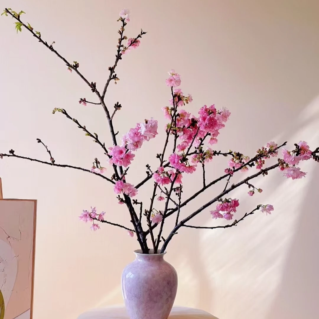 樱花鲜切枝 木本类鲜切花 家居室内水培植物 年宵花节日装饰鲜花
