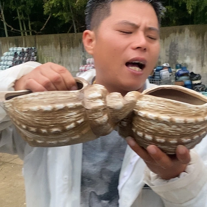 红陶20CM以下海螺