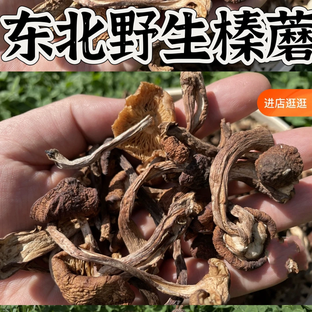 东北黑龙江五常野生榛蘑250克小鸡炖蘑菇