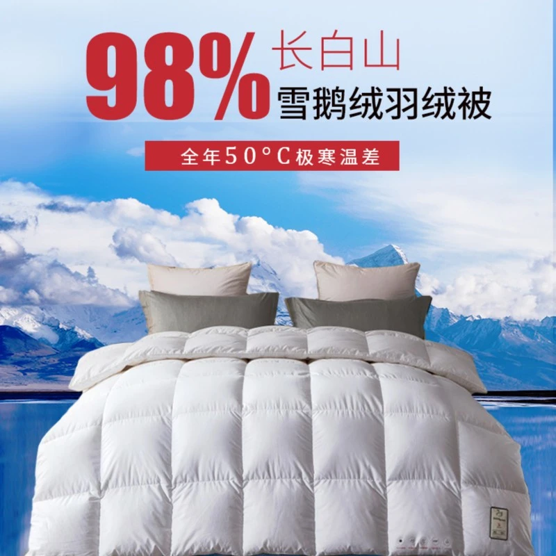 XIAN'E/仙娥现充【5A手捡白鹅绒被】98七星羽绒被加厚保暖春秋冬被