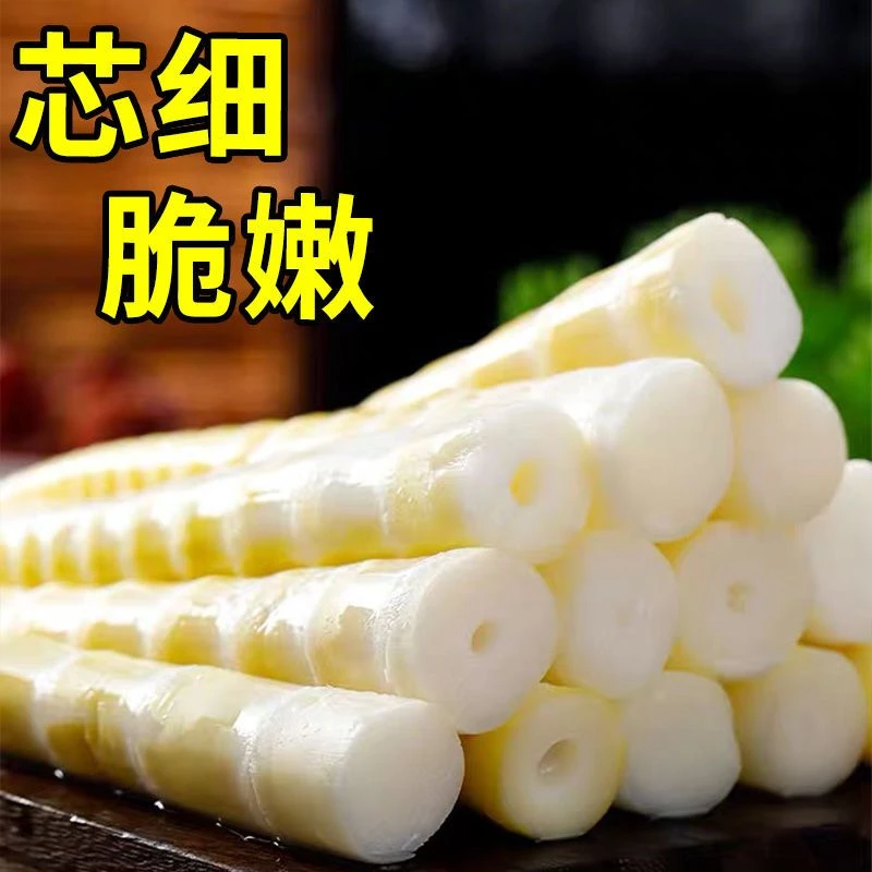 清水笋尖商用大包装鲜香脆嫩原味鲜脆爽口